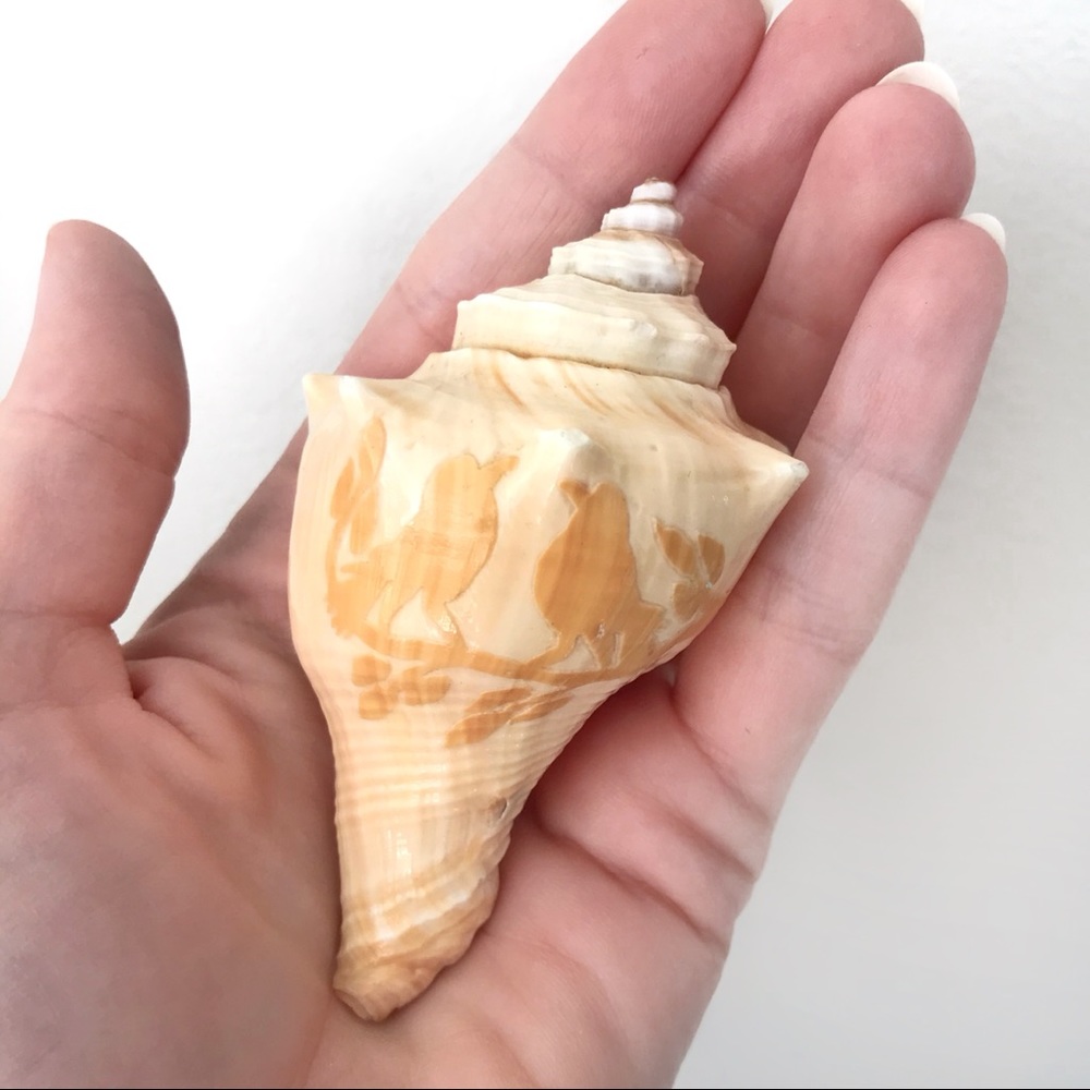 Vintage carved conch seashell with birds